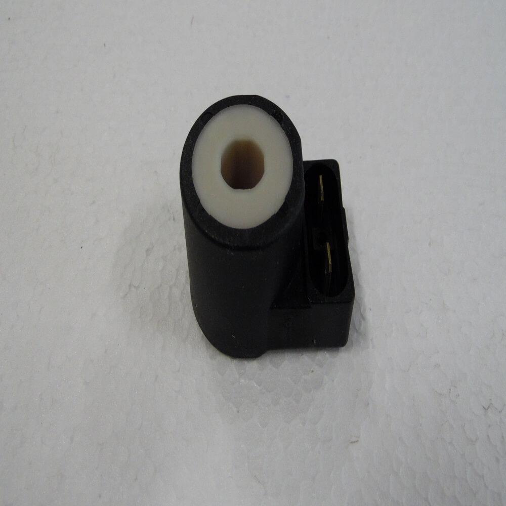 REPUESTO CALDERA EV1 220/240 V, 50 HZ COIL PICTOR