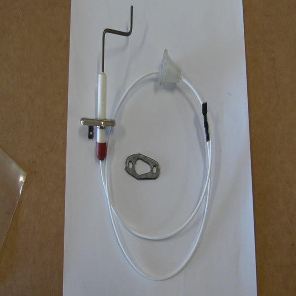 55-85 DETECTION PLUG PICTOR